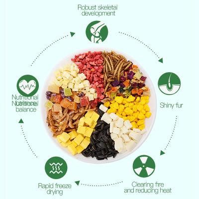 Yee Various Pet Snack Spree Nutrition Balance Food for Small Pet