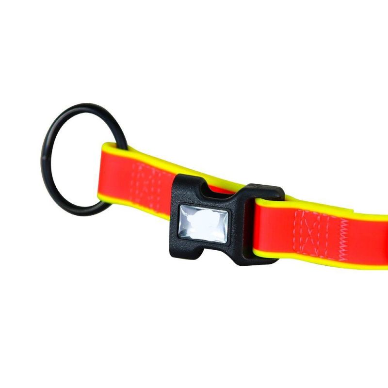 Personalized Dog Collars Pet Collars for Small Medium Large Dog Pet