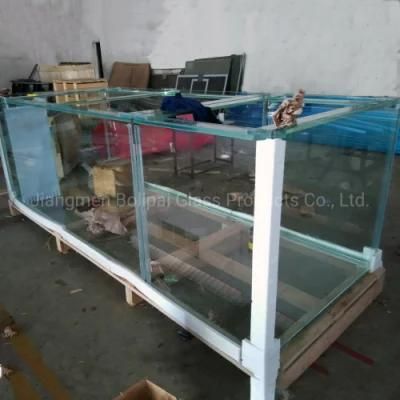 Custom Modern and Beautiful Aquarium Glass Fish Tank