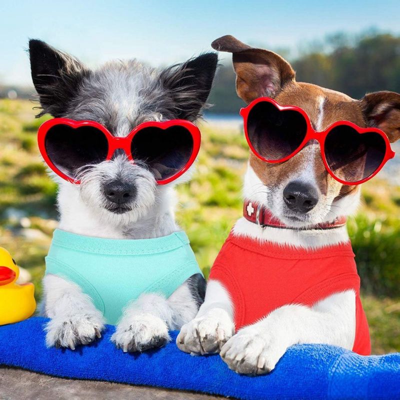 Hot Sale Summer Dog T-Shirt with Fast Delivery