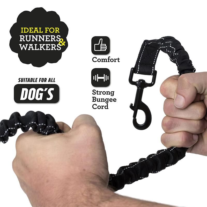 Strong Reflective Nylon Elastic Bungee Dog Training Lead Pet Leash