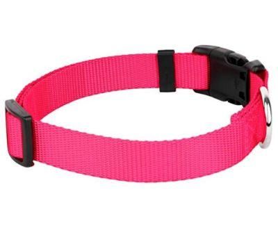 Pet Supply Wholesale Nylon Dog Collar Monochromatic Pet Collar for Pet Dog
