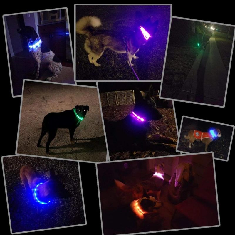 Safety Silicone LED Dog Collar USB Rechargeable Pet Collar with Water Resistant and Adjustable Light up Collars for All Dog Sizes
