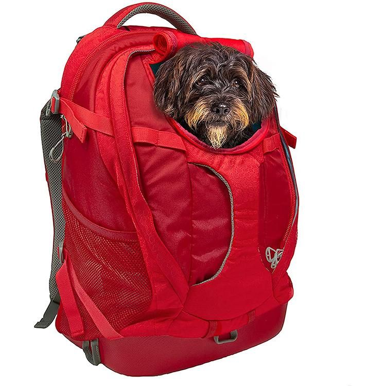 Airline Approved Cat Hiking Travel Waterproof Pet Backpack Portable Dog Carrier Backpack