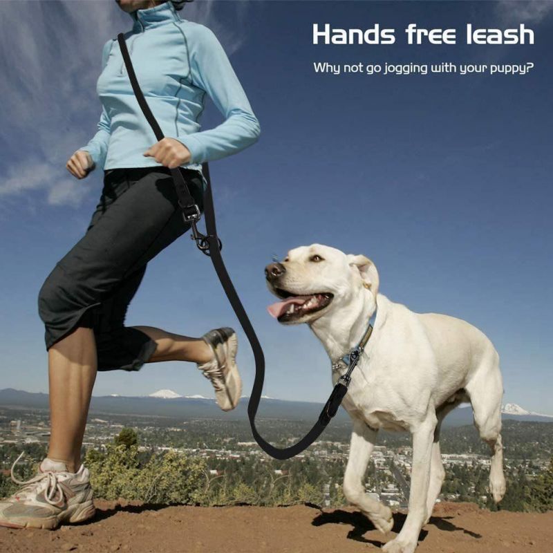 Multifunctional Lead Dog Leash with PVC Material