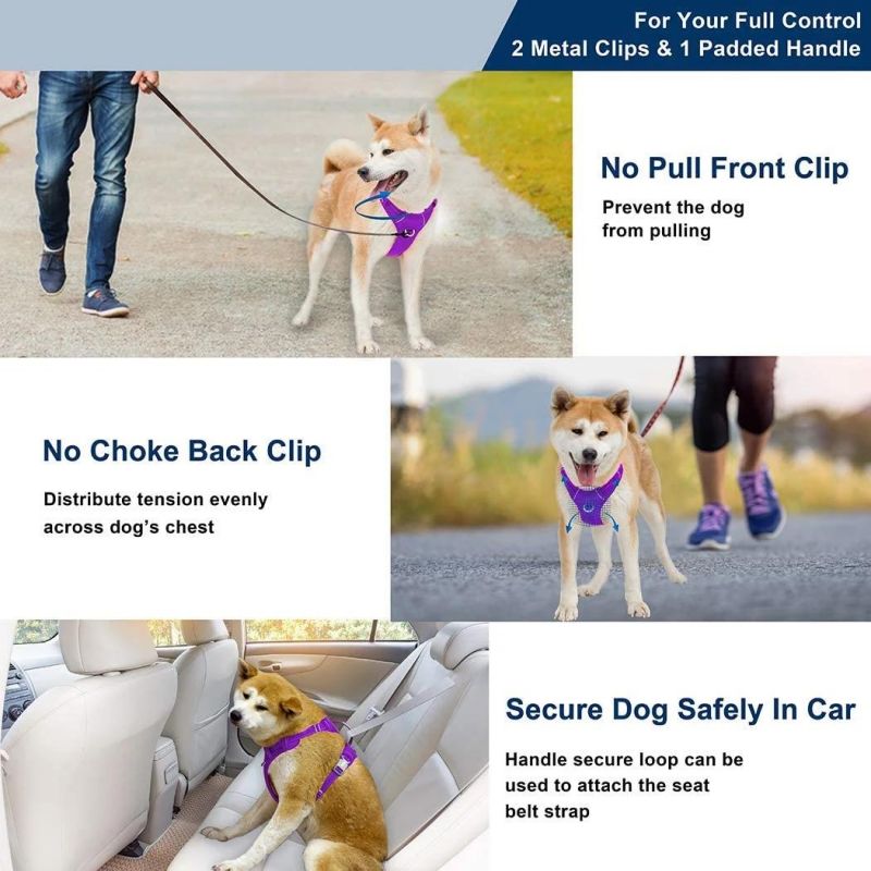 Mesh Dog Harness with 2 Sturdy Metal Leash Attachment