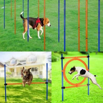 Dog Agility Training Equipment Starter Set