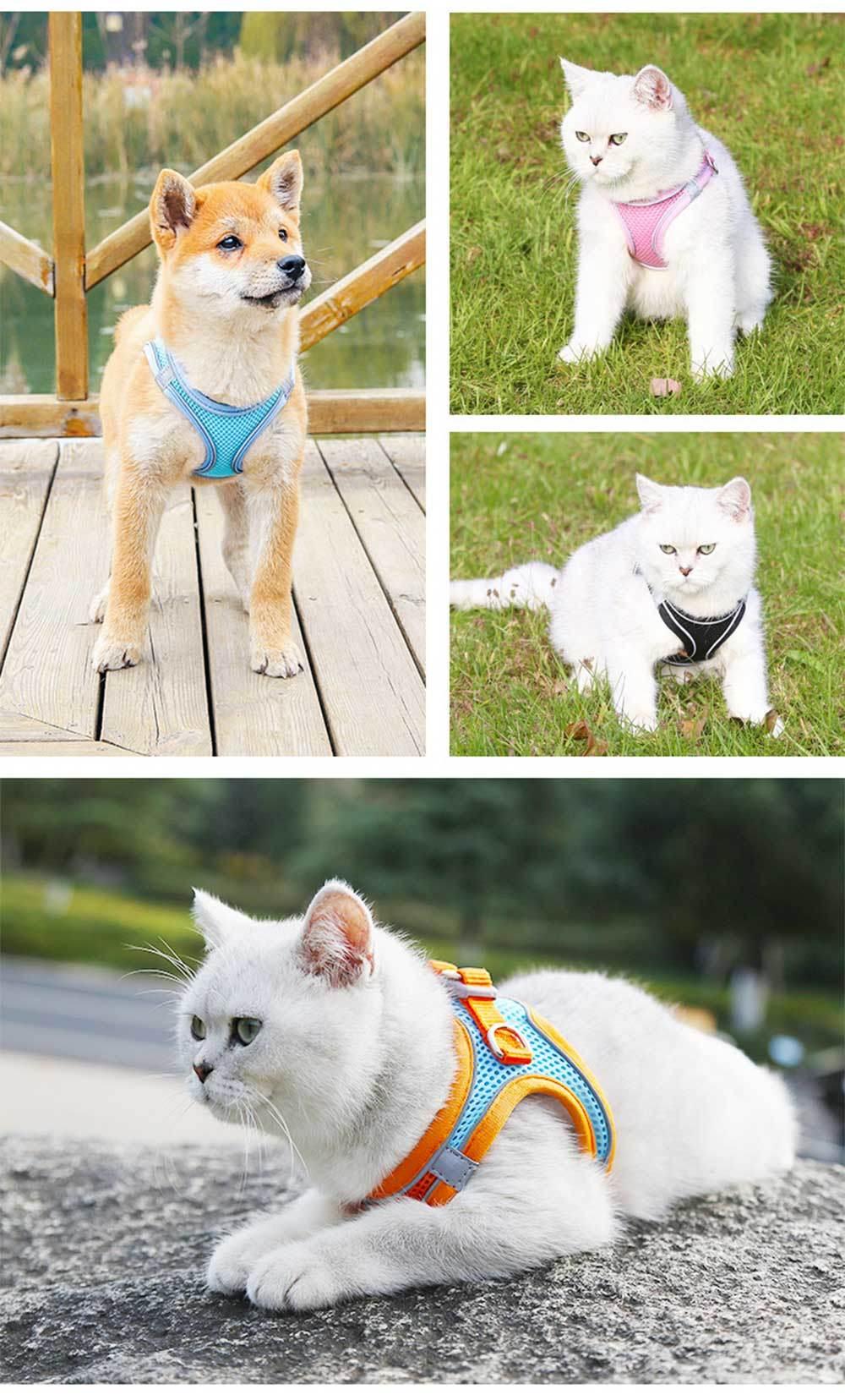 Latest Customed Factory Price Dog Harness Vest Lightweight