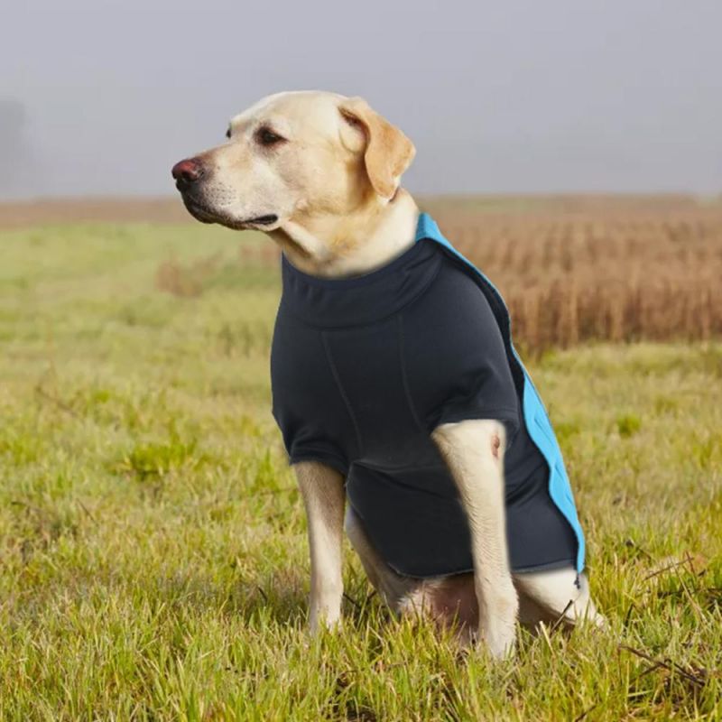 High Quality Bulk Custom Luxury Wholesale Dog Wear Apparel Cloths Clothing Cat Pet Dog Clothes and Jacket