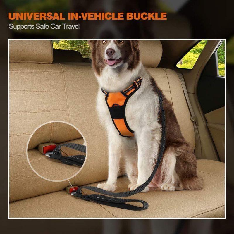 Bungee Dog Walking Leash, 5.6FT Heavy Duty with 2 Control Handles & Car Seat Belt
