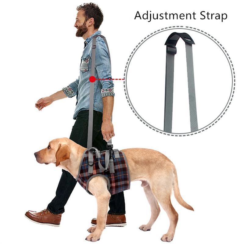 Pet Leg Hind Leg Auxiliary Belt Dog Postoperative Rehabilitation Belt Old Dog Auxiliary Walking Harness Leg Protector Pet Product