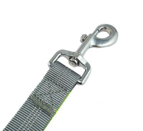 Hands Free Dog Leash and Collar for Running Dog Leash