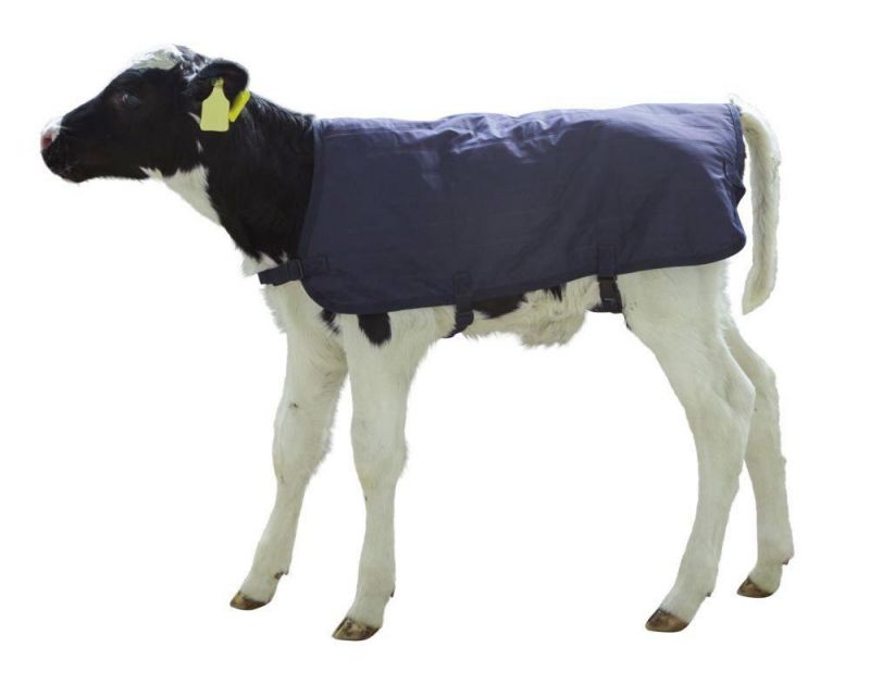 Calf Blanket Super Lightweight Functional