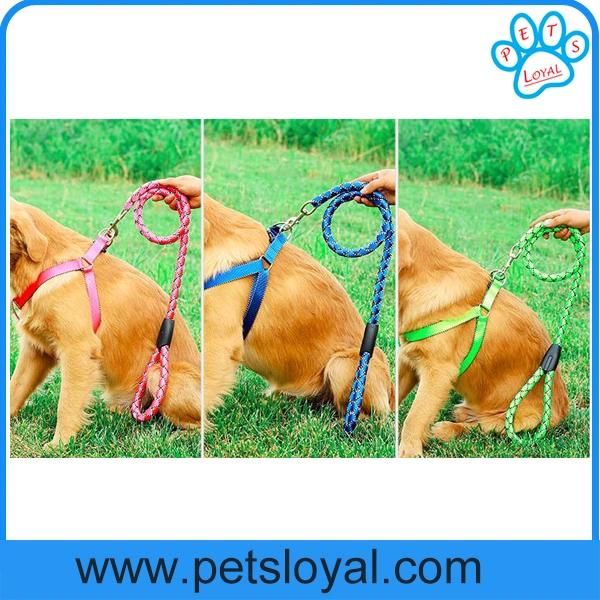 Factory Wholesale Cheap Nylon Pet Harness Leash Dog Lead