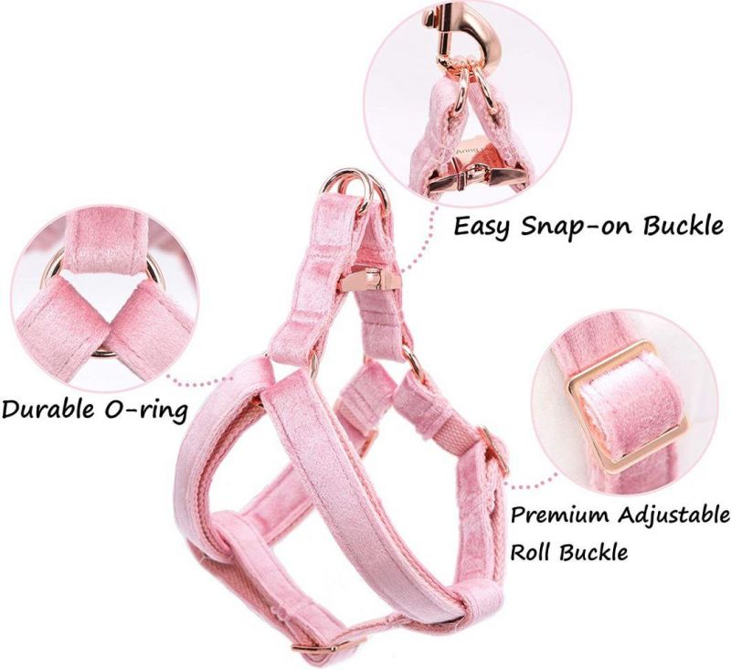 Practical and Functional Dog Halter Harness