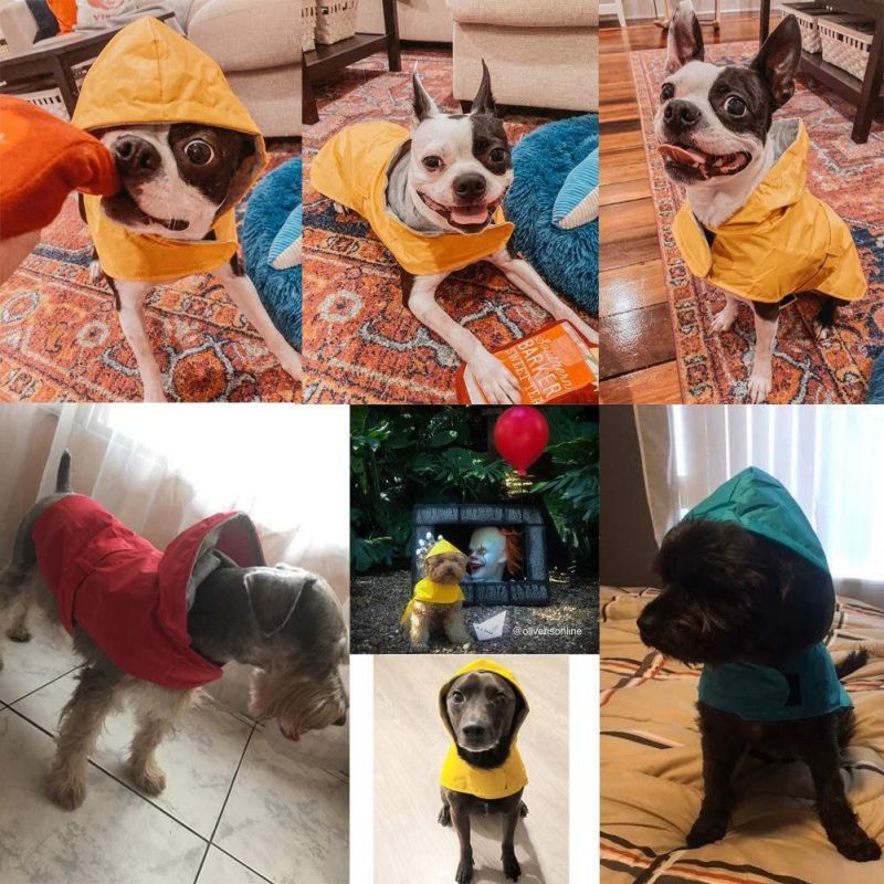 Pet Dog Winter Coat Waterproof