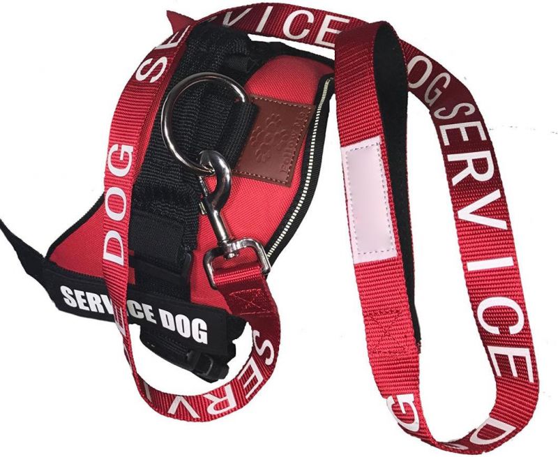 More Than 10 Colors Customized Durable Nylon No-Pull Service Dog Leash-Red Color