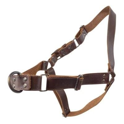 Comfortable Adjustable Full Grain Leather Dog Harness with Heavy Duty Metal and Handle for Large Dog Breeds