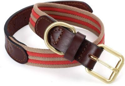Dog Collar with Strong Soft Canvas Belt with Leather Tips and Zinc Alloy Rings