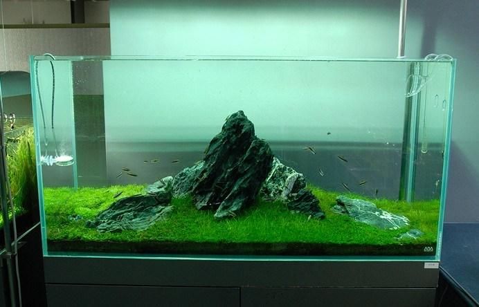 High Quality and Safety Aquarium  (BLP-T006)