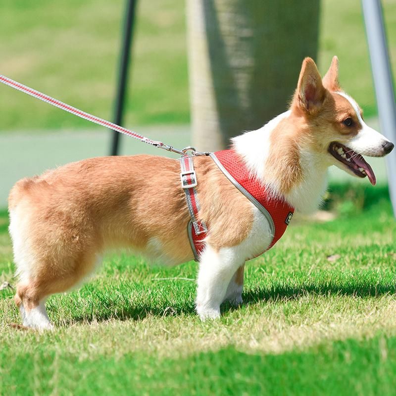Pet Dog Training Leads Leash Breathable Dog Harness Pet Products Accessories