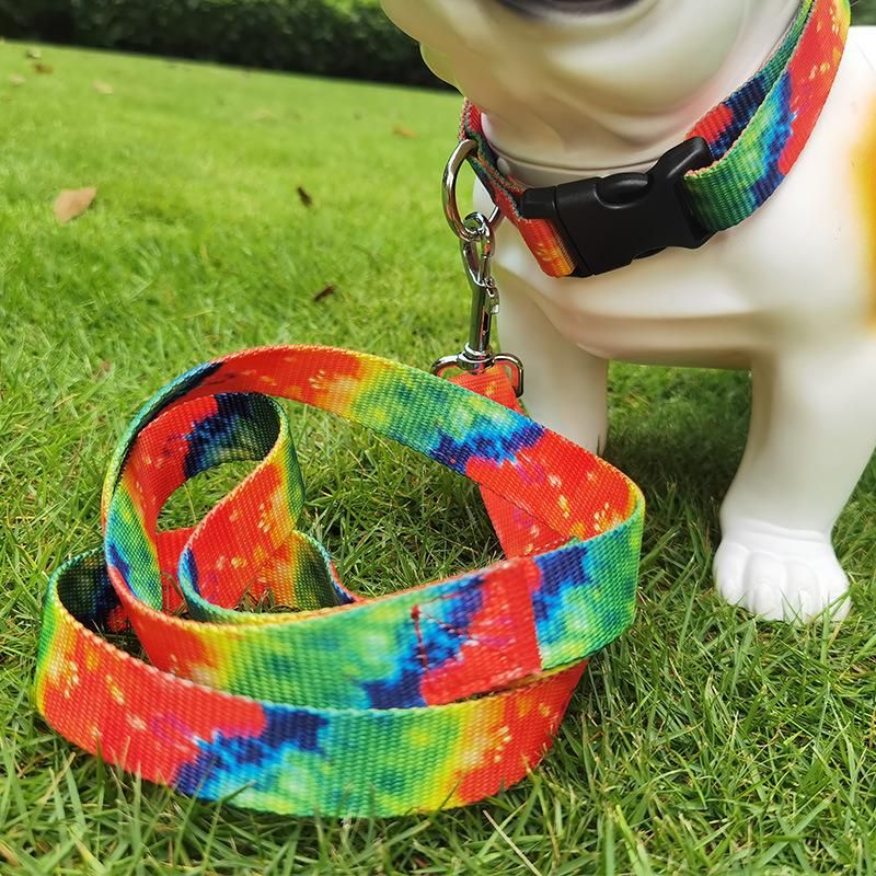 Customizable Sublimation Pet Dog Leash with Neck Ring Carabiner Hook