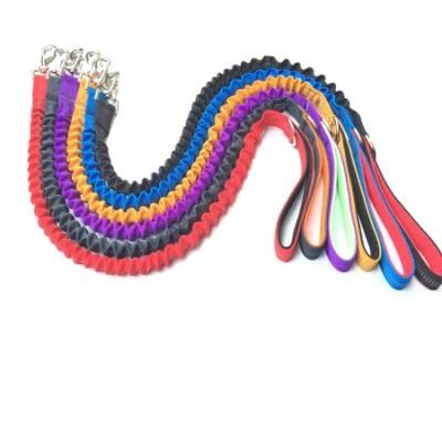 Nylon Reflective Bungee Dog Leash with Multicolor for Medium and Large Dog