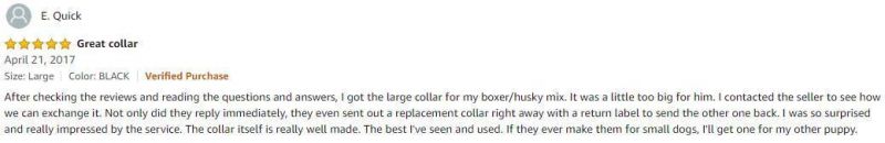 Reflective Metal Buckle Dog Collar Double Layers Martingale Collar