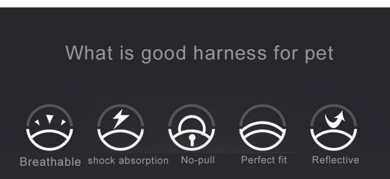 Fashion Standard Comfortable Padded Handle Pet Supplies Leash Dog Harnesses