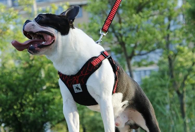 Small and Medium-Sized Dog′ S Sport X3 Pet Harness