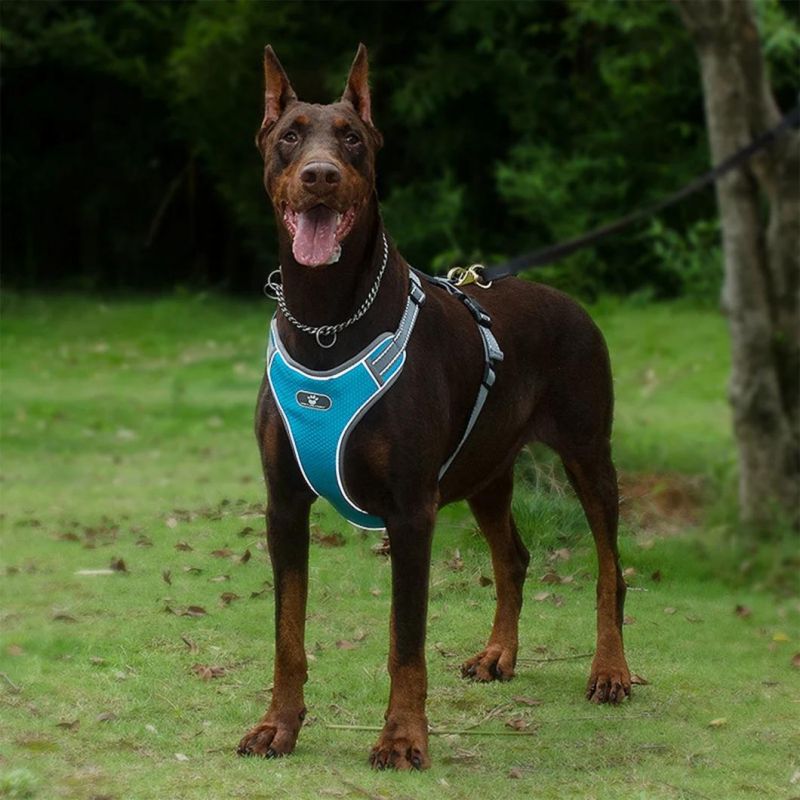 No Pull Lighweight Dog Harness Adjustable Pet Harness