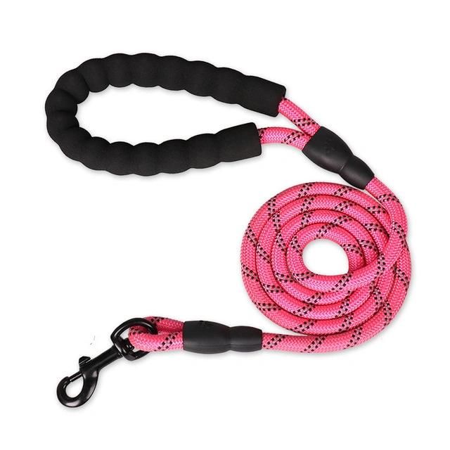 Good Material Factory Promotional Price Nylon Dog Leash