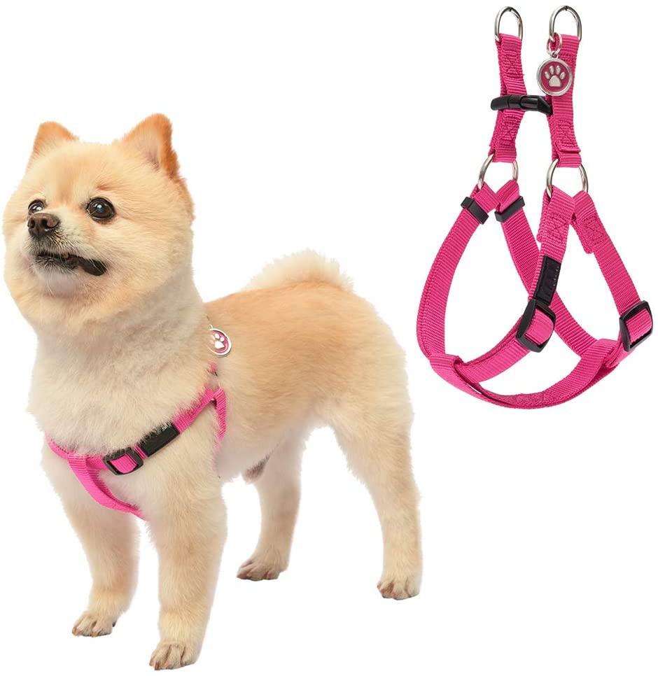 Durable Strap Dog Harness with Stong Nylon Webbing