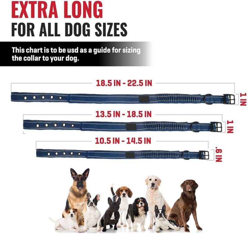 Tough Comfort & Safety Dog Collar with Stretch Bungee Handle