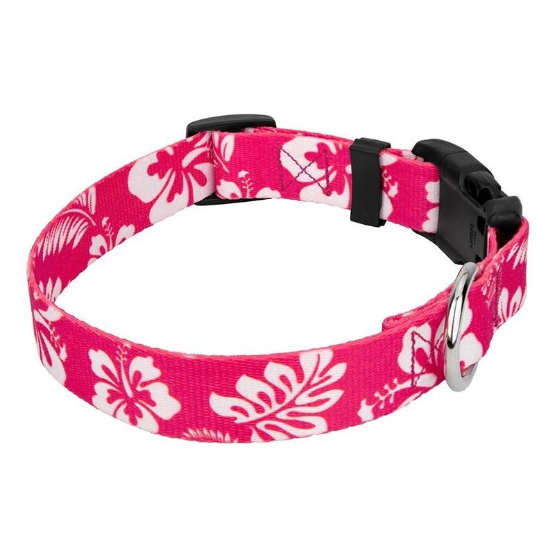 Premium Adjustable Neoprene Plastic Buckle Dog Collar