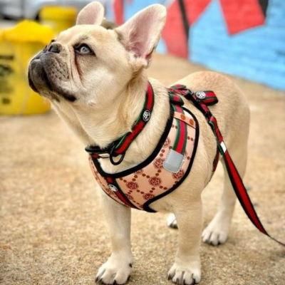 New Design with Reflection Customized Pattern Printing Reversible Dog Harness