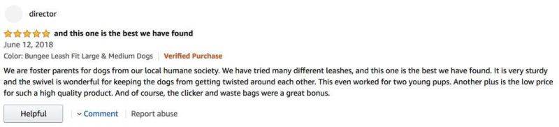 Good Quality Dog Leash with The Latest Design and Fit All Size Dogs