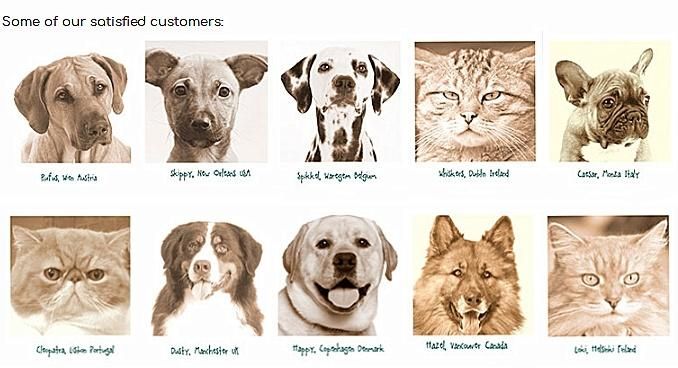 Luxury Hooded Pet Bed Dog Cushion