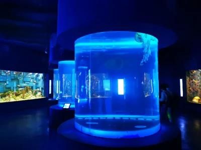 Transparent Acrylic Aquarium Fish Tank