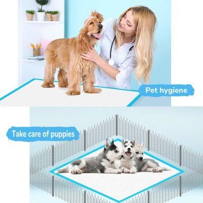 Wholesale Manufacturer Pet Underpads Dog Sanitary Under Pad