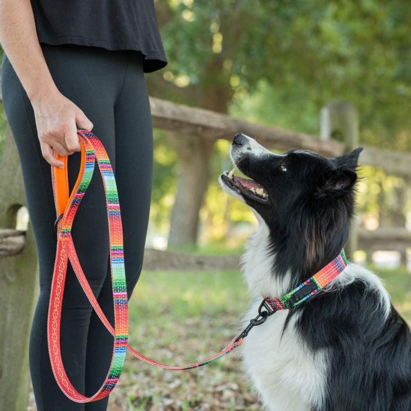 Double-Thick 6FT Reflective Leash with Padded Handle
