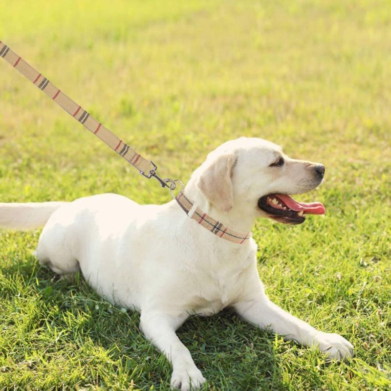 Heavy Duty Adjustable Training Nylon Collar Leash Set