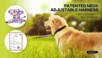 OEM Factory Custom Neoprene Pet Adjustable Dog Harness, Collar and Leash