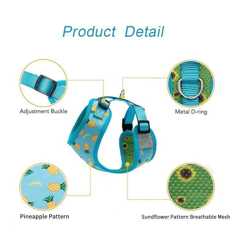 Amazon Dog Harness and Leash Set, Pineapple Sunflower Double-Sided Printed Adjustable Soft Padded Bondage Puppy Vest Harness
