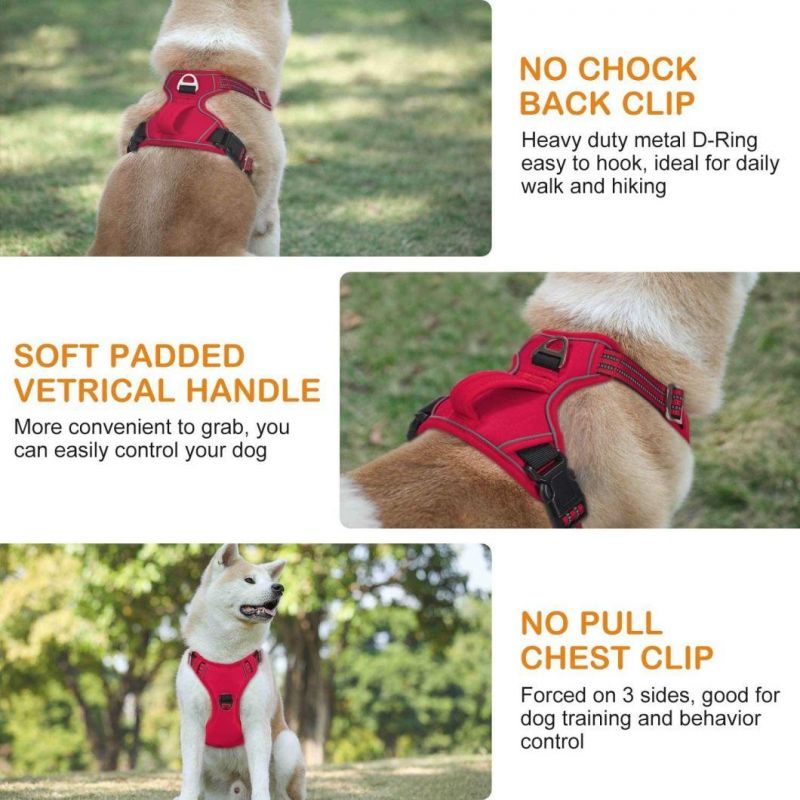 Ergonomic Design No Pull Dog Harness with Fast Delivery