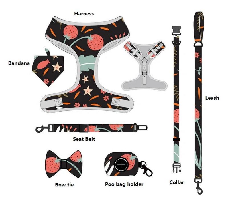 Customized All Kinds of Harness Design Pattern Dog Harness