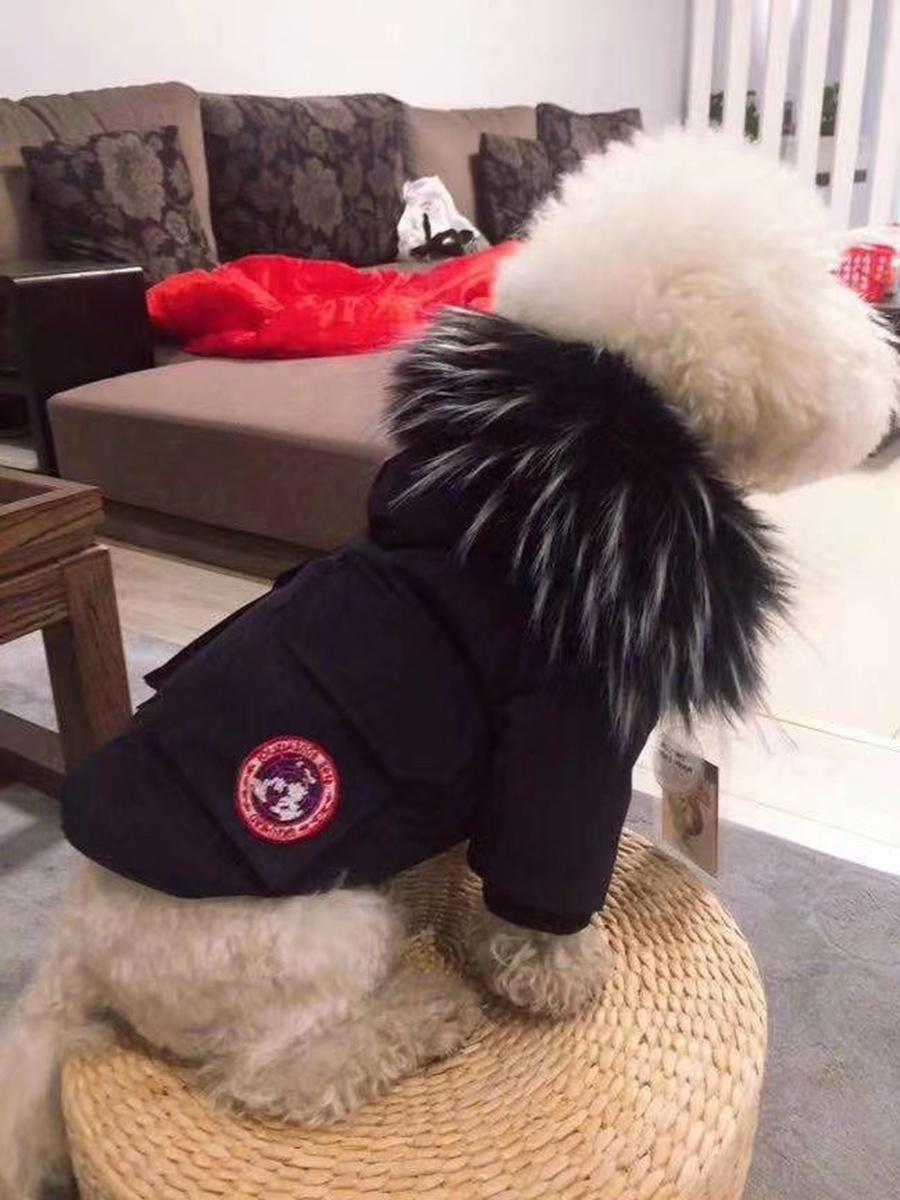 Pet Clothes Winter Parka Dog Down Jacket Teddy Coat Schnauzer with Fluffy and Thick Winter Warm Pet Coat From China Supplies