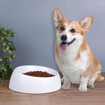 White Cat Dog Water Bowl Elevated Ceramic Pet Food Bowl