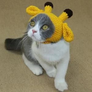 Tiny Weaving Hats for Little Pets Cats Dogs Wearing
