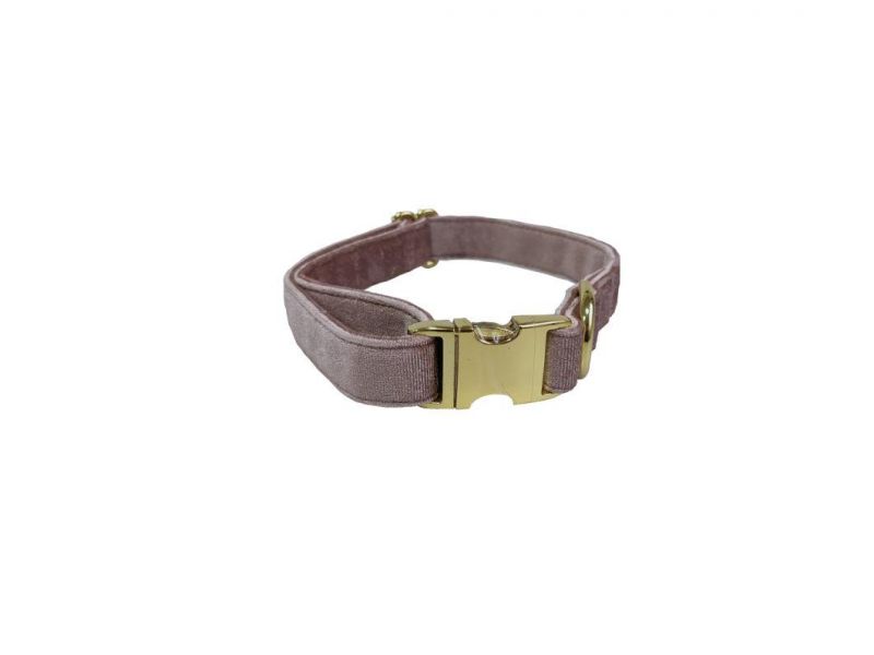 Factory Customized Flannel Pet Collar for Walking Dogs